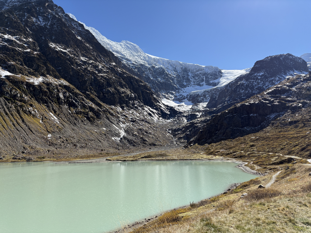 Steingletscher from the lake.