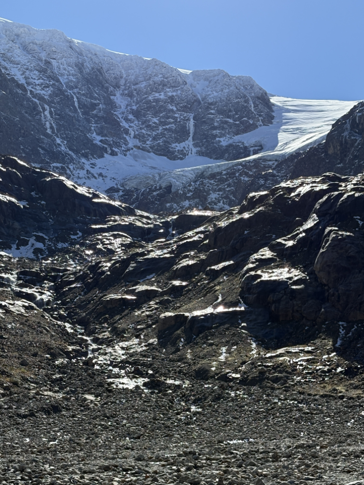 Steingletscher from the valley.